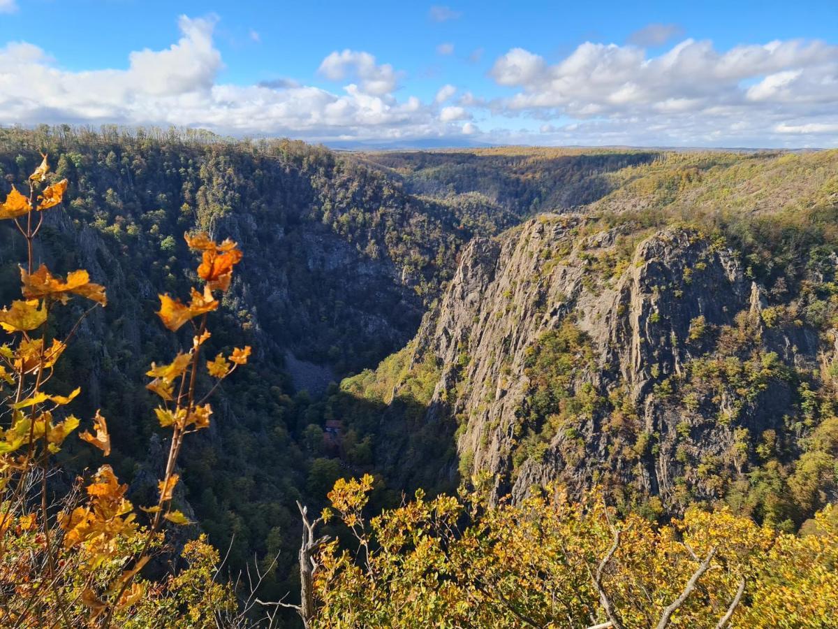 Ferienwohnungen Fam. Bartl Bad Suderode Esterno foto